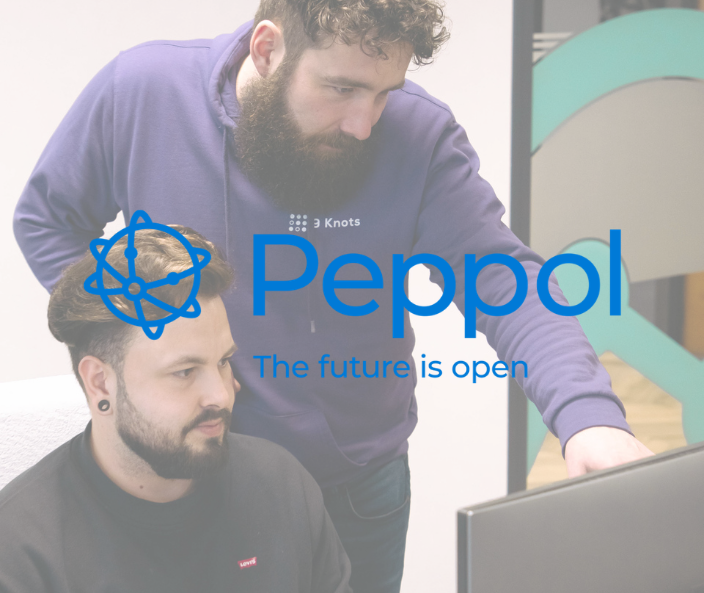 koppeling met peppol